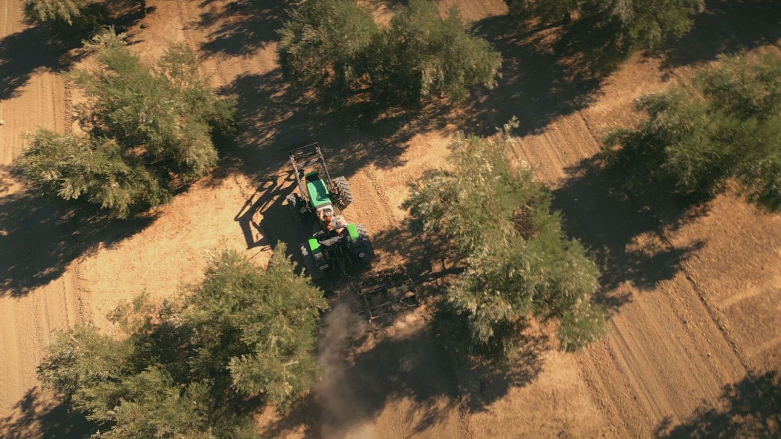 Un agricultor realizando sus tareas