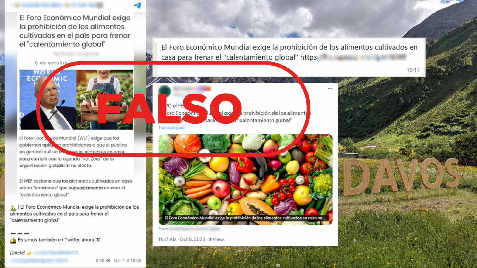 El Foro Económico Mundial no exige la prohibición del cultivo de alimentos en los hogares