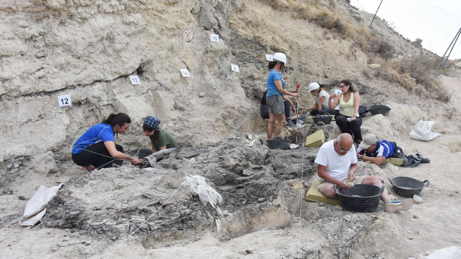 El equipo arqueológico de Baza, en Granada, trabajando en la excavación