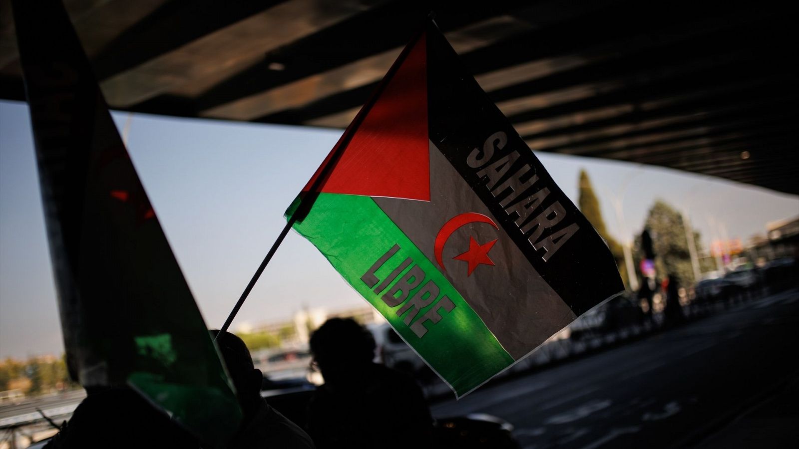 Una bandera del 'Sáhara Libre' durante una protesta en el aeropuerto de Madrid