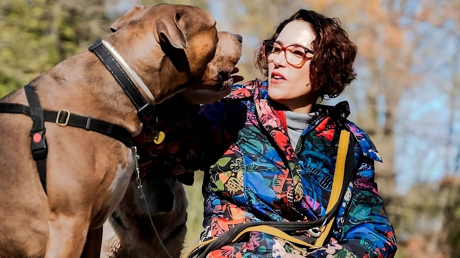 Paula Calvo, antrozoóloga: "Hay una imagen romantizada de lo que supone convivir con un animal de compañía"