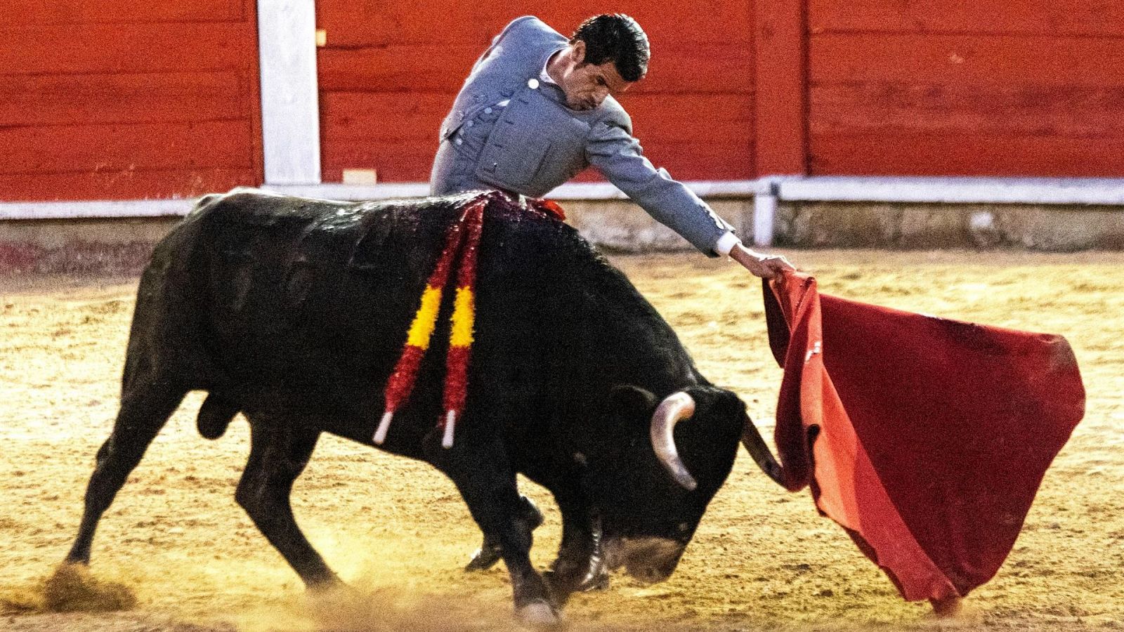 Vox y PP aprueban que los menores puedan volver a los toros en Baleares