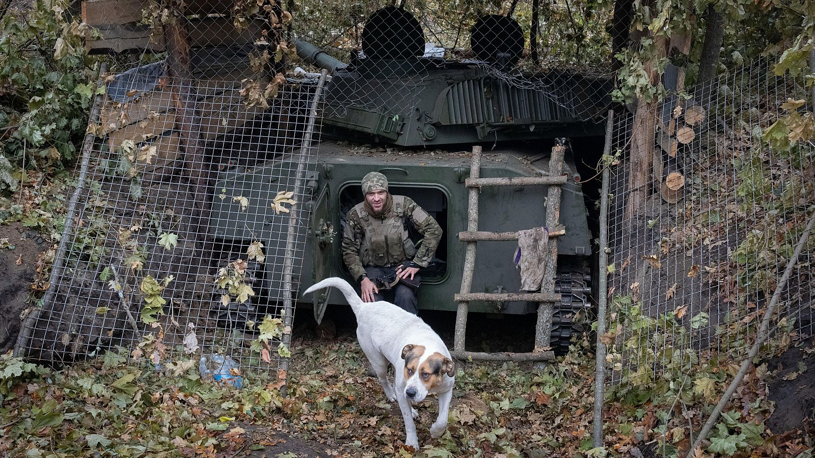 Un oficial de la 57ª brigada motorizada de Ucrania se sienta cerca del obús de artillería autopropulsado "Gvozdika" junto a su perro