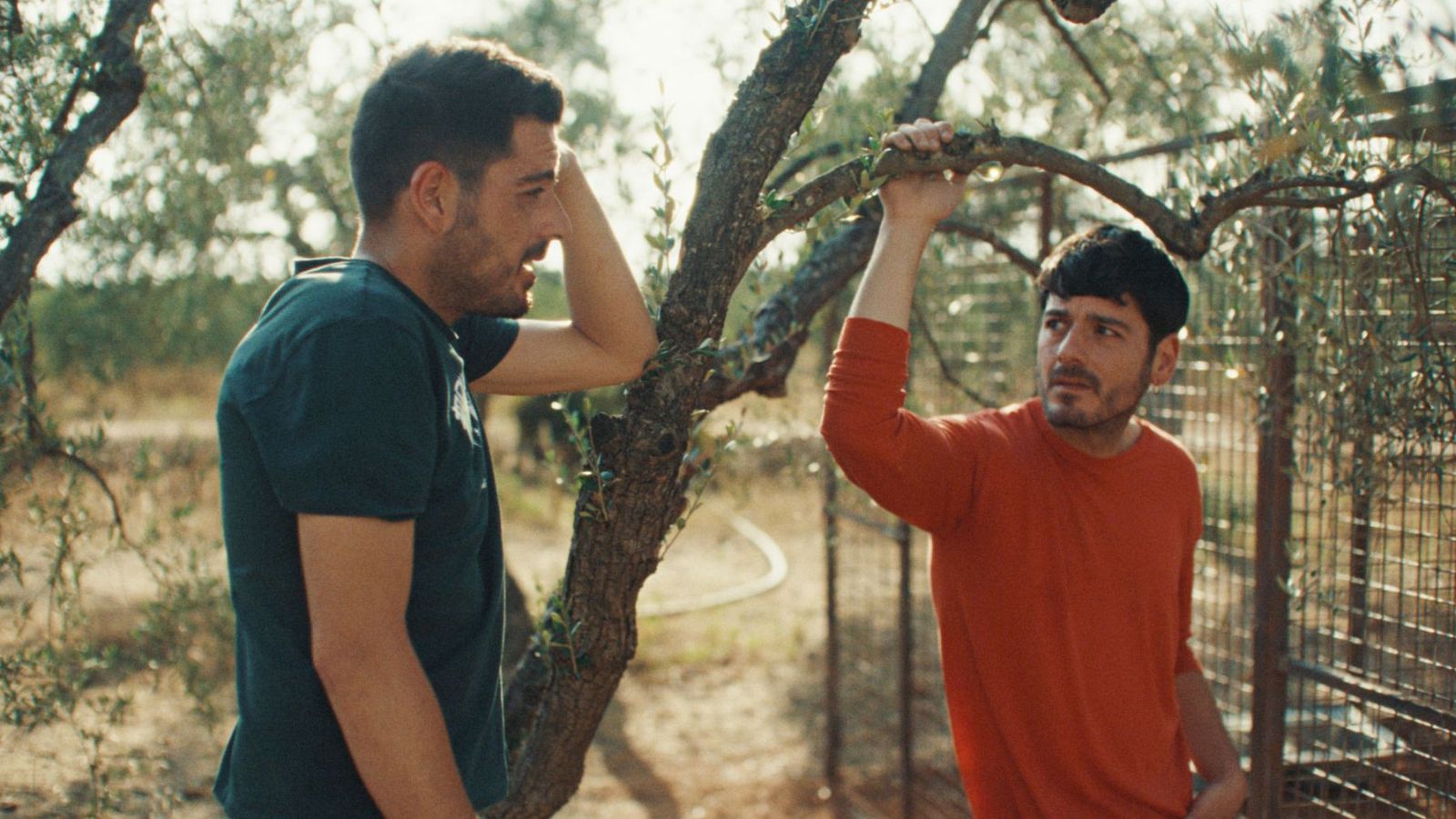 Dos hombres charlan en un campo de olivos, en un fotograma de 'Por donde pasa el silencio'.