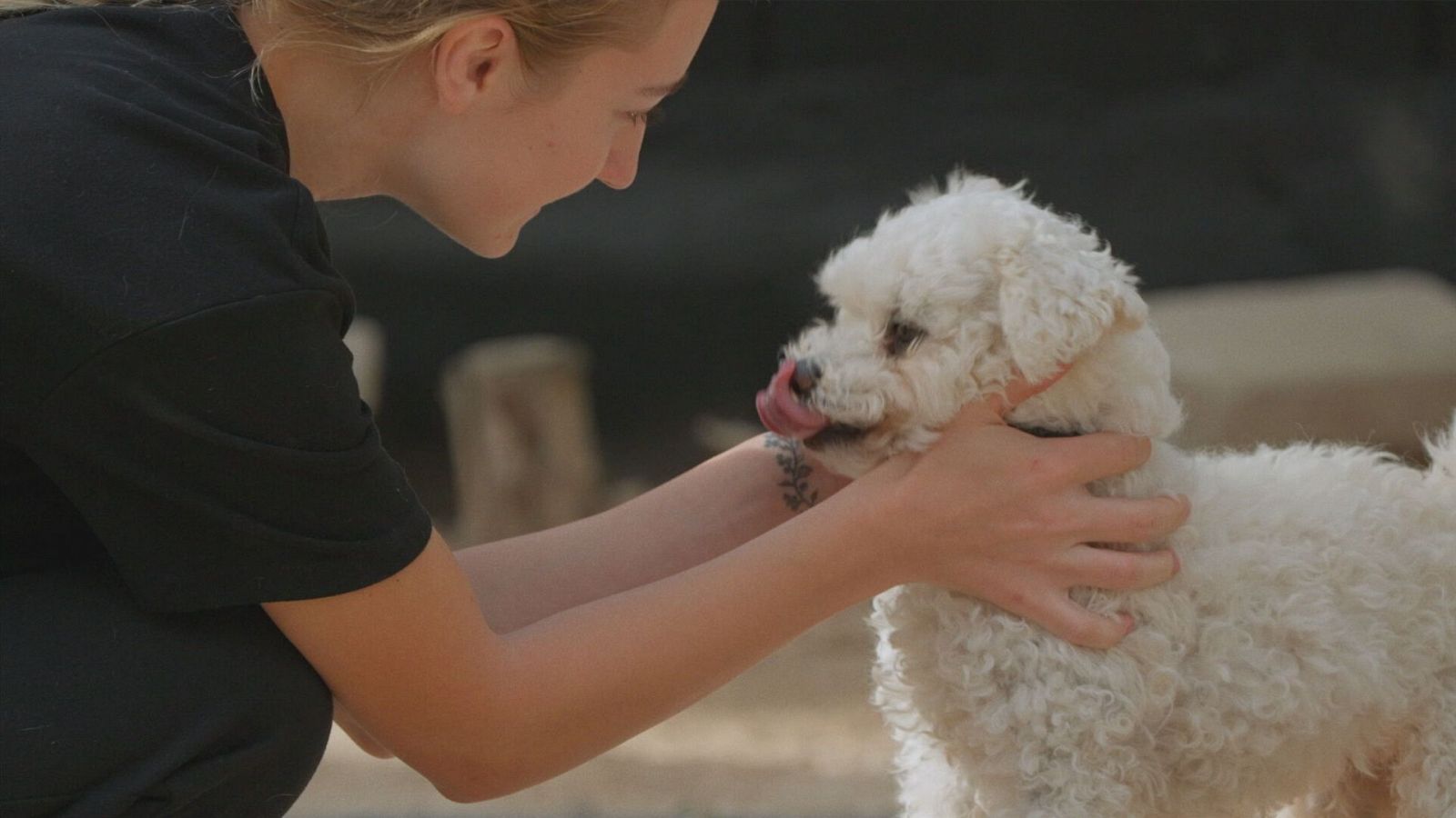 Mujer acaricia a un perro blanco