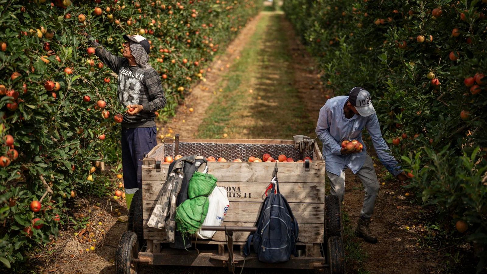 El coste de la discriminación laboral y educativa a los extranjeros alcanza los 17.000 millones, un 1,3% del PIB