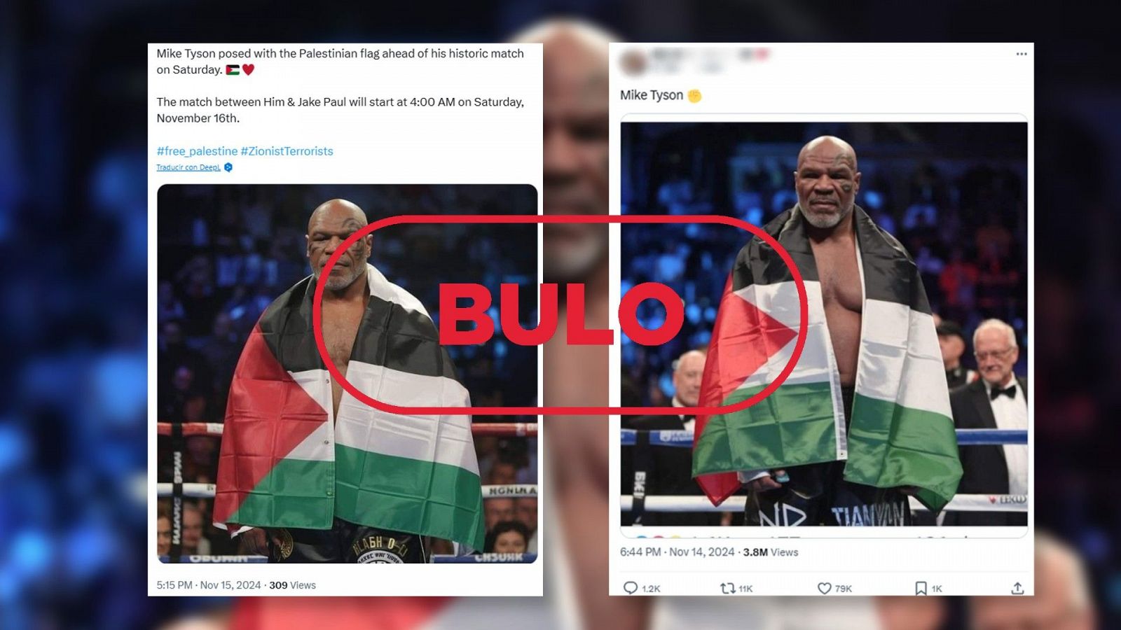 Mike Tyson no posa con la bandera de Palestina, es IA