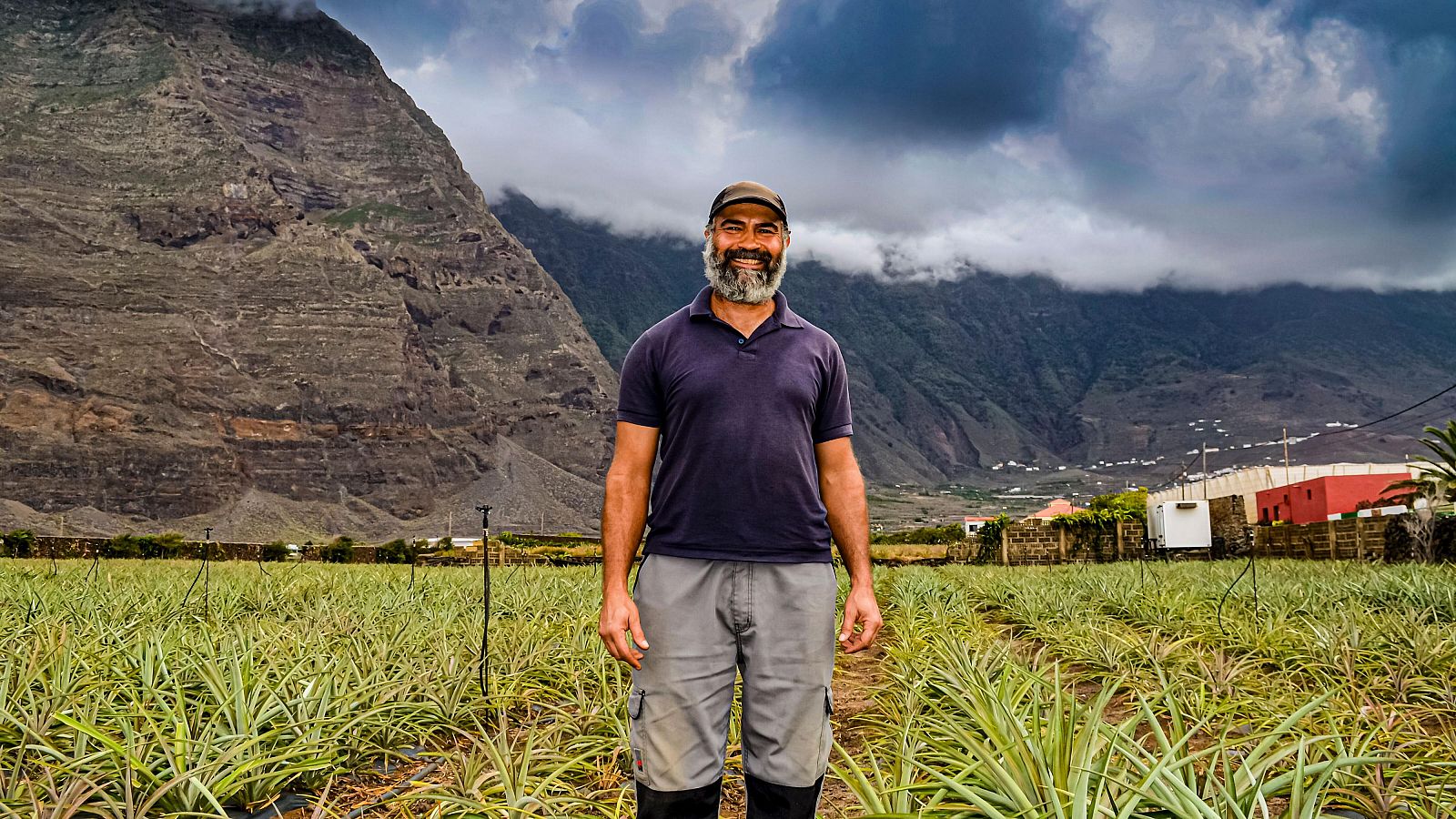 Agricultor herreño en su cultivo de piñas, con el paisaje montañoso de El Hierro al fondo.