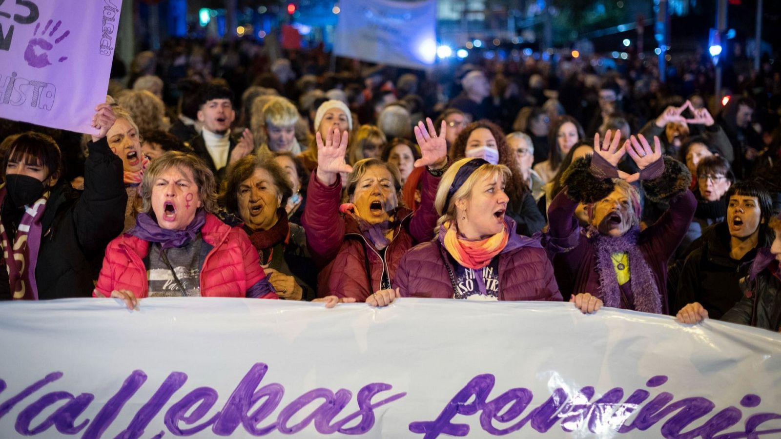 Manifestación por el Día Internacional de la Eliminación de la Violencia contra la Mujer