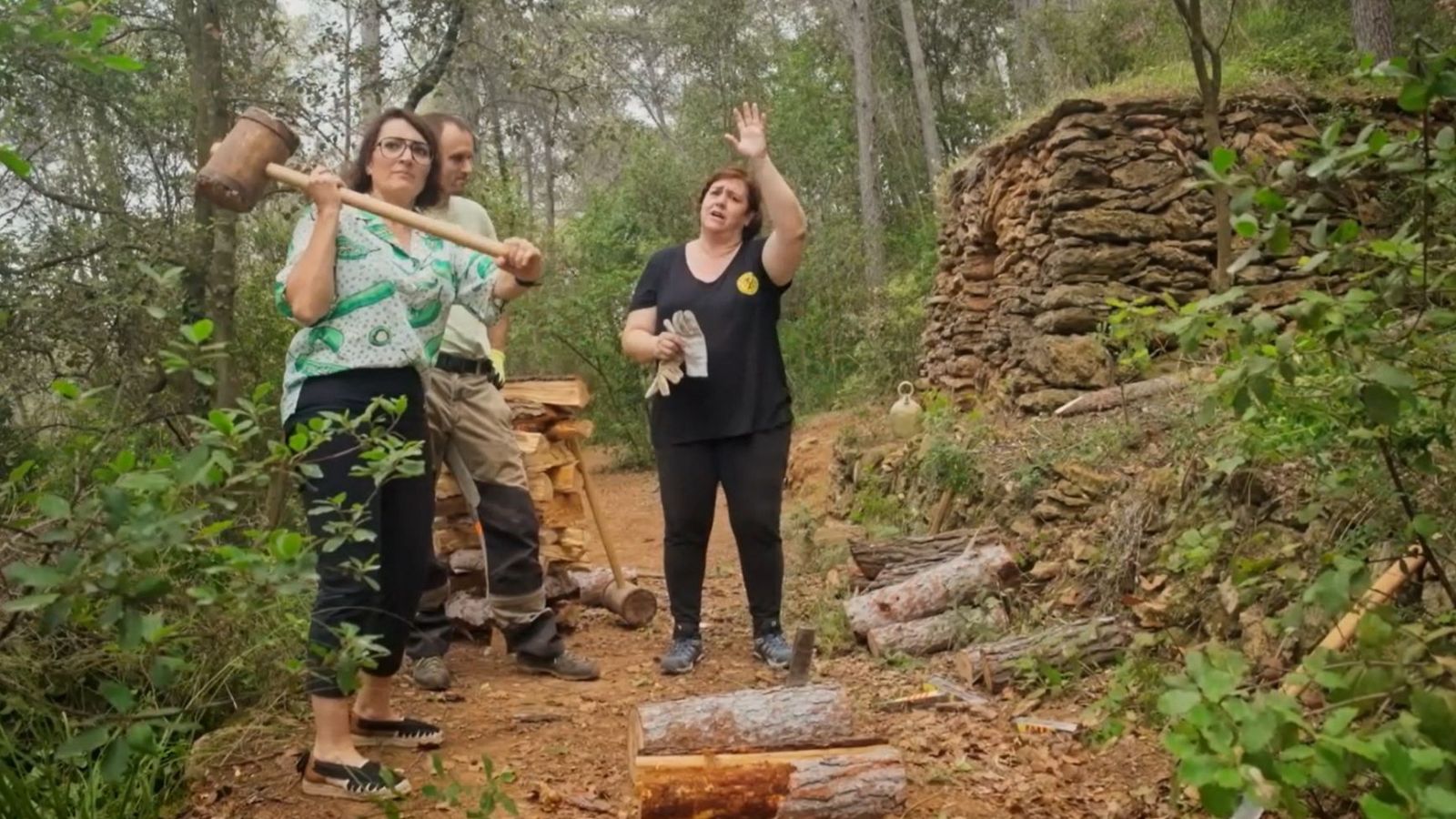 Estelladors, l’ofici d'extreure llenya del bosc