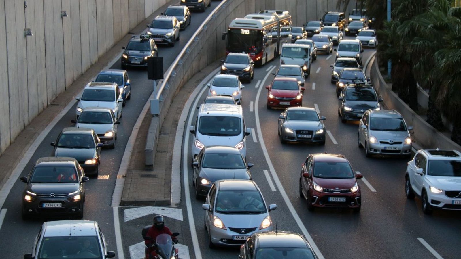 Autopista congestionada con coches, furgoneta, autobús y motocicleta. Tráfico denso, posiblemente por alta movilidad. Entorno urbano con palmeras y muro de hormigón.