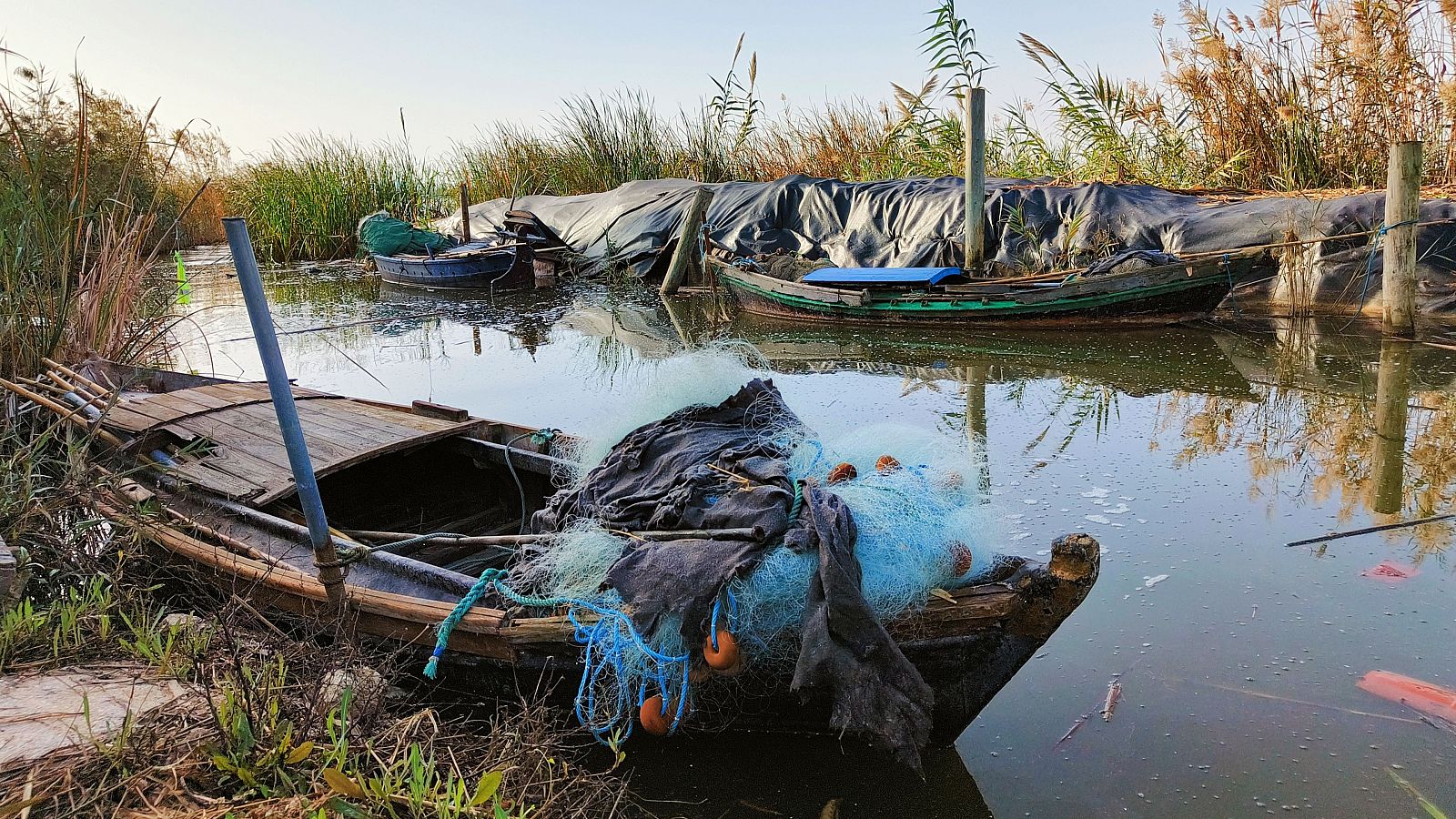 Embarcaciones tradicionales de pesca en la Albufera valenciana.