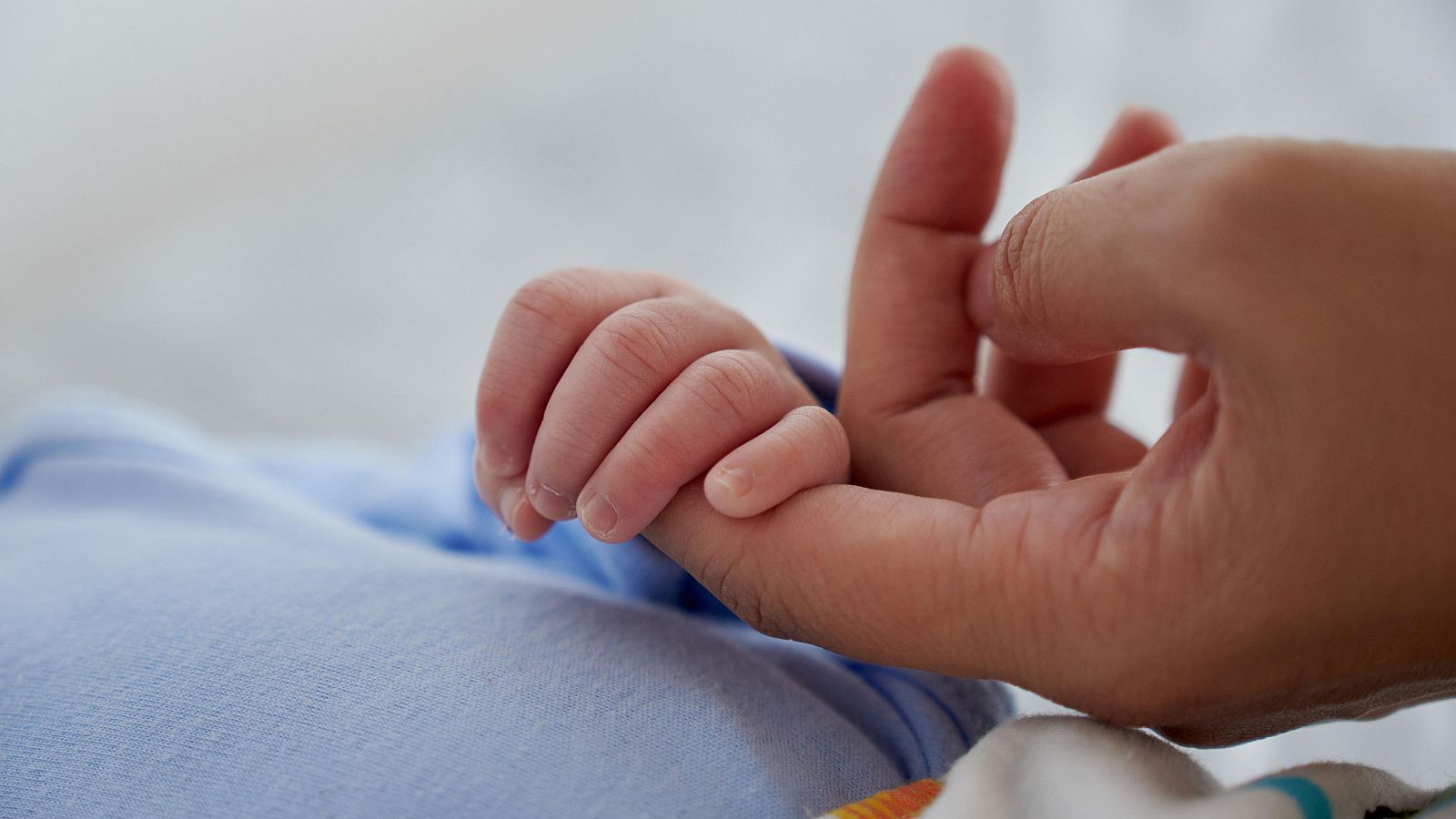 Una persona sosteniendo la mano de un bebé