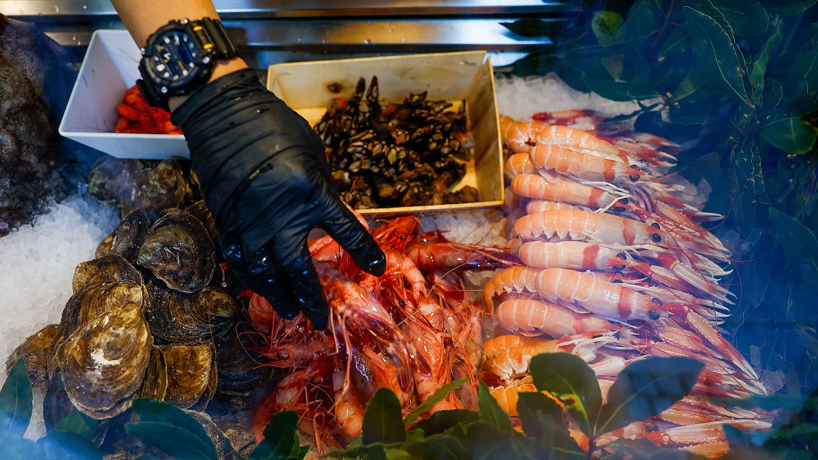 Mariscos frescos (ostras, gambas, cigalas y mejillones) en expositor refrigerado, con una persona señalando las gambas.  Hojas verdes decoran el mostrador.