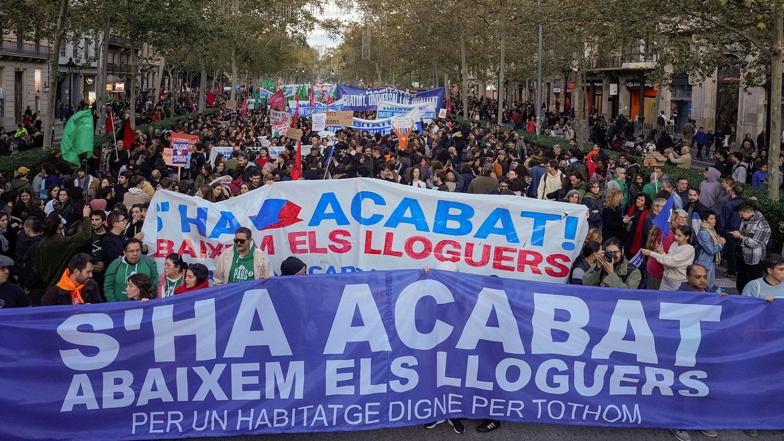 Manifestación en una calle arbolada con pancartas que exigen la bajada de los alquileres y viviendas dignas.  Diversidad de edades y apariencia entre los participantes.