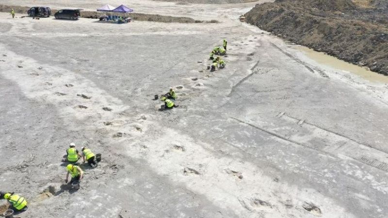 Paleontólogos excavan huellas de dinosaurios de variado tamaño y profundidad en un terreno grisáceo.  Se aprecian vehículos y una carpa en la zona.