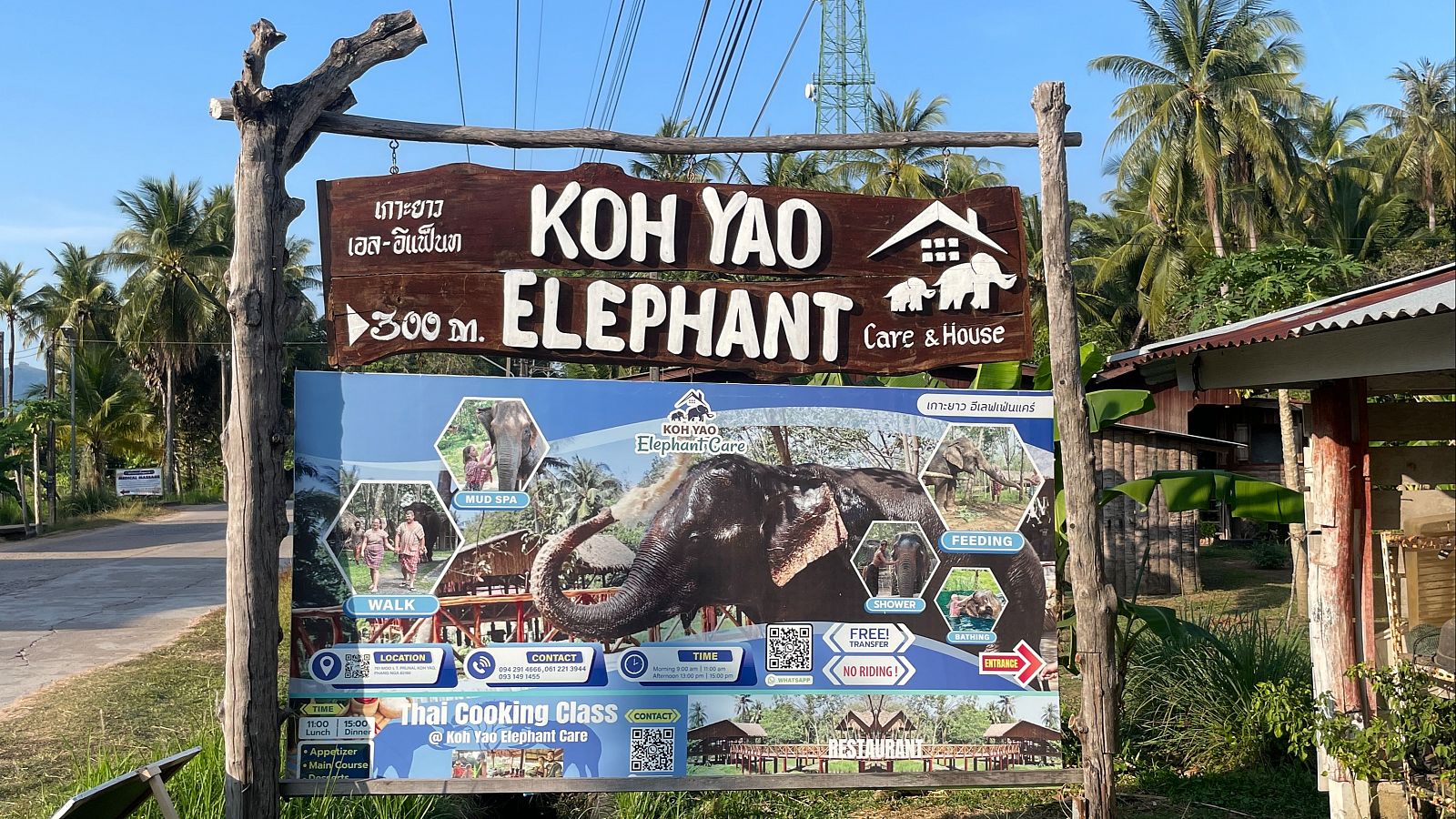 La Policía investiga la muerte de la turista española atacada por un elefante en Tailandia