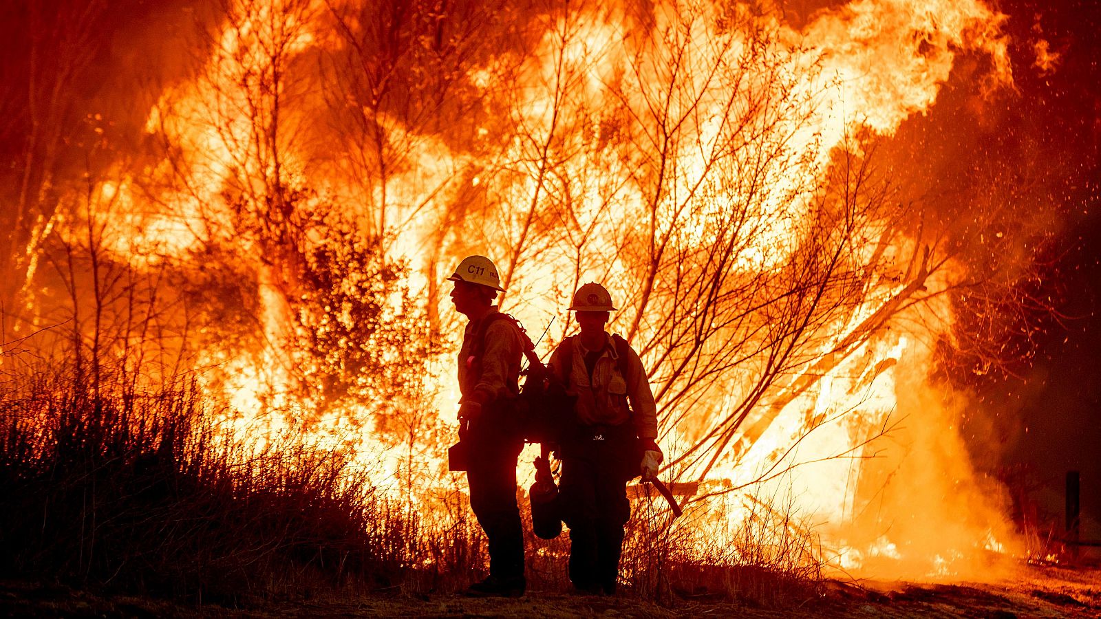 Incendios en los Ángeles: el cambio climático y el urbanismo, principales causas