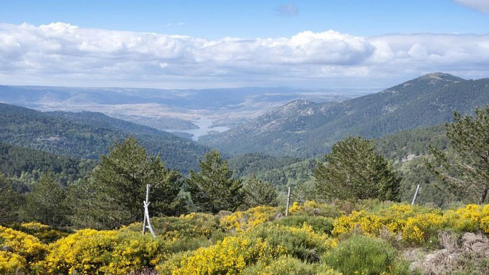 Vista panorámica de un valle con vegetación abundante, un lago y montañas al fondo.  Predominan los tonos verdes y amarillos, con un cielo parcialmente nublado.