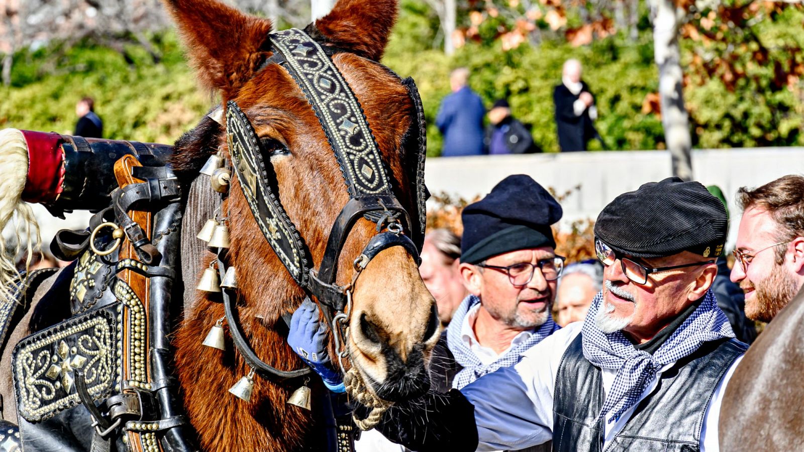 Els Tres Tombs a Igualada, el 2024. Una tradició de fa més de 200 anys que cada cop té més oposició