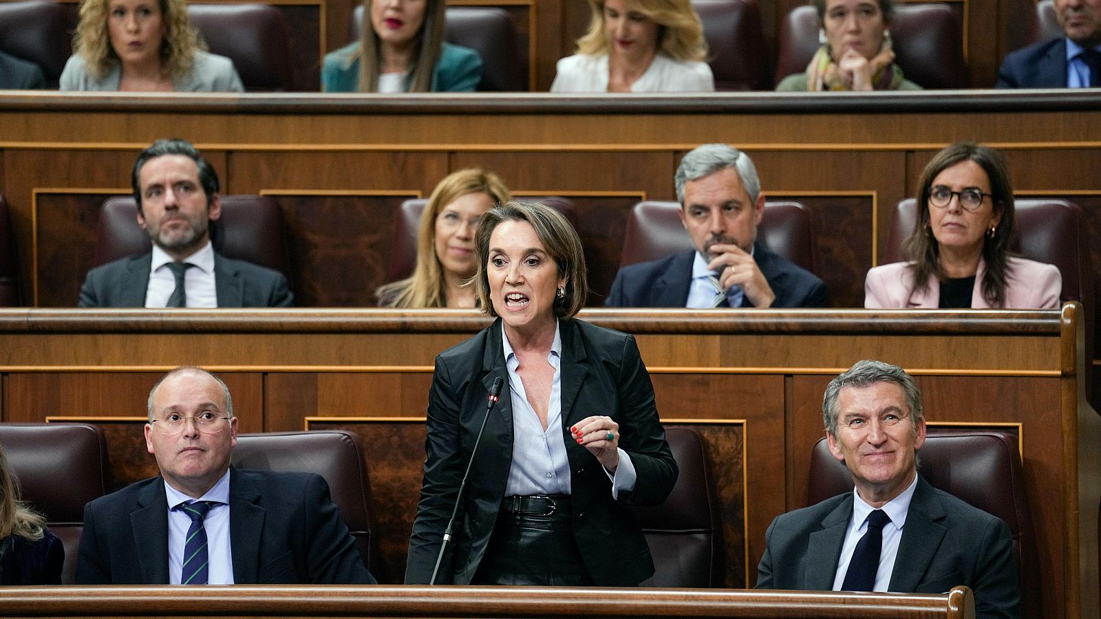 La diputada del PP, Cuca Gamarra, en una sesión de control al Gobierno en el Congreso