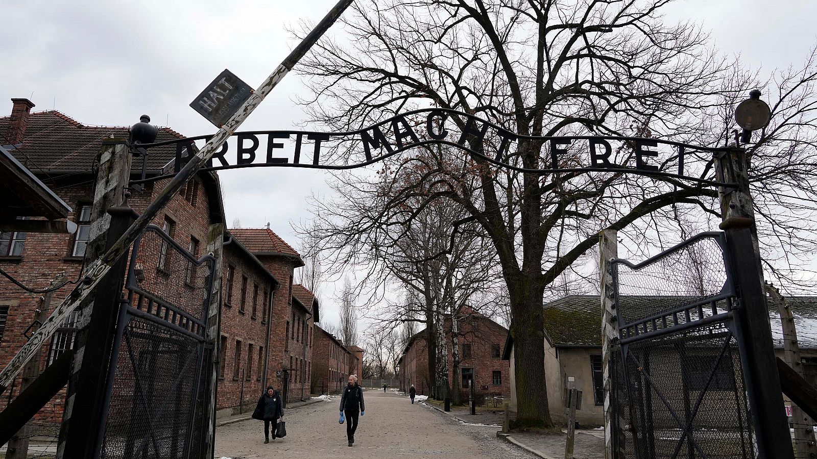 Día internacional de recuerdo del Holocausto: Nueve libros sobre el horror de los campos nazis