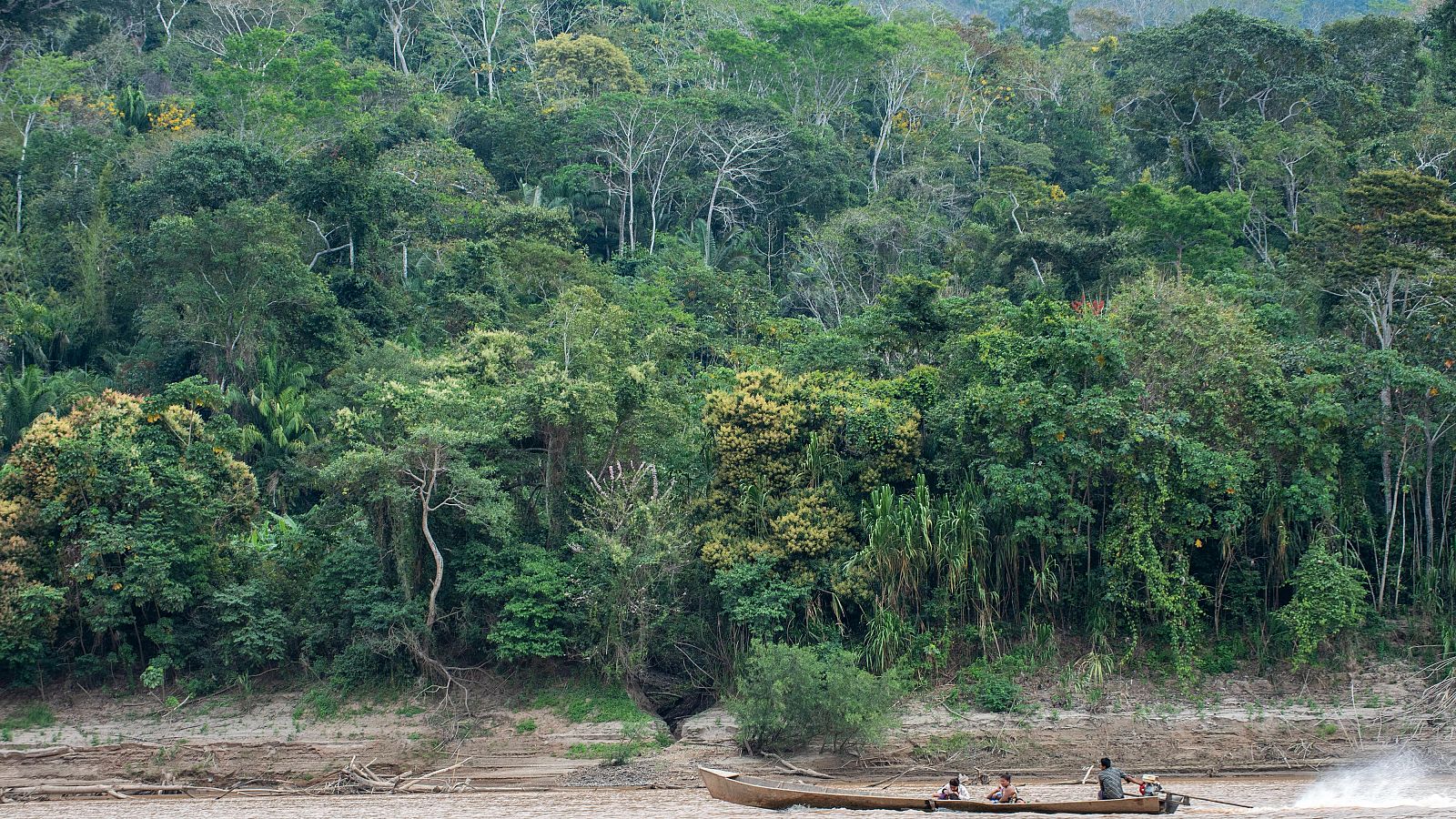 Descubierto un sistema único de riego que permitió la revolución neolítica en la Amazonia