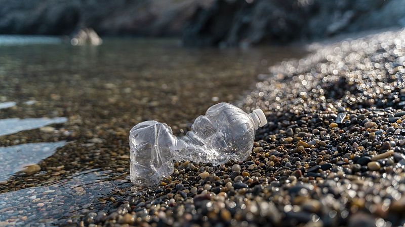 Cada vez acumulamos más micropásticos en el cerebro