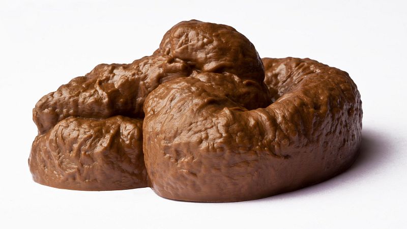 La microbiota intestinal: un aliat clau per a tenir una bona salut física i mental