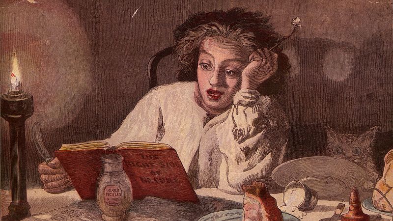 El gran apagón en siete libros