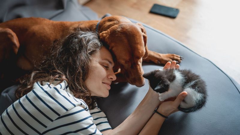 Mujer acaricia un gatito mientras un perro descansa cerca en un sofá gris.  Escena tranquila que refleja el vínculo entre humanos y animales.