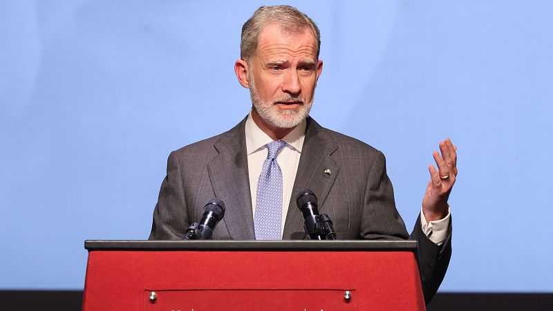 El Rey Felipe VI, en traje oscuro y corbata azul, da un discurso tras un atril rojo con dos micrófonos, gesticulando.