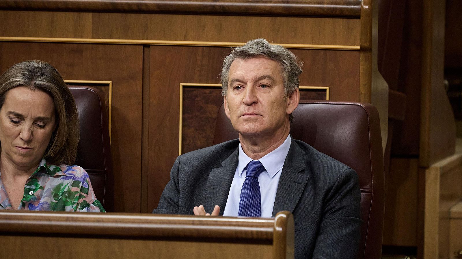 El presidente del PP, Alberto Núñez Feijóo