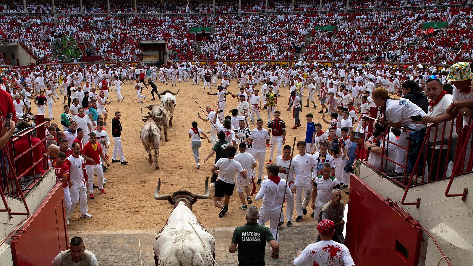 Corredores y toros en un encierro de San Fermín. Algunos corredores llevan manchas de sangre. Un hombre con chaleco "PASTORES UNIAK" participa.