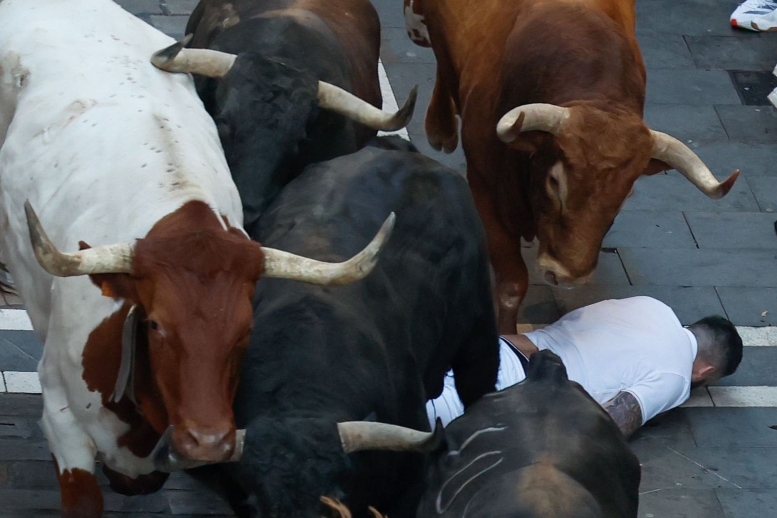 San Fermín 2025: los rápidos y peligrosos toros de Jandilla, protagonistas del quinto encierro de los Sanfermines