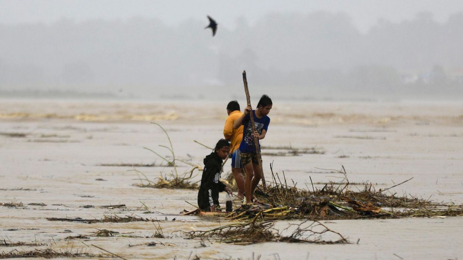 Jóvenes rebuscando entre escombros en aguas inundadas; uno usa un palo largo, cielo gris y nublado.