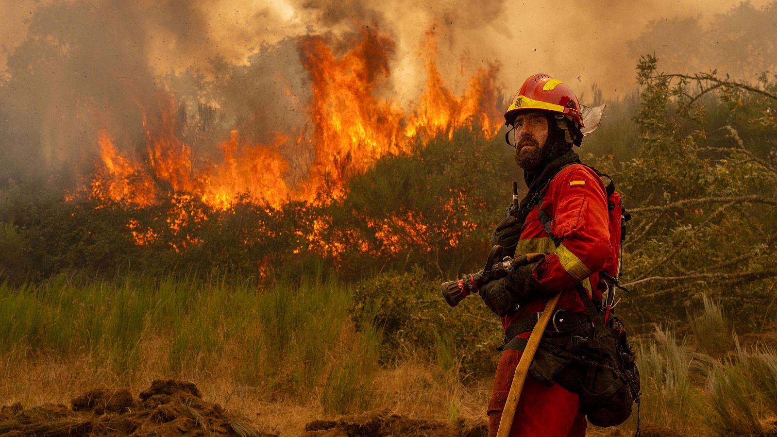 Incendios a la vez en todas partes: por qué arde España