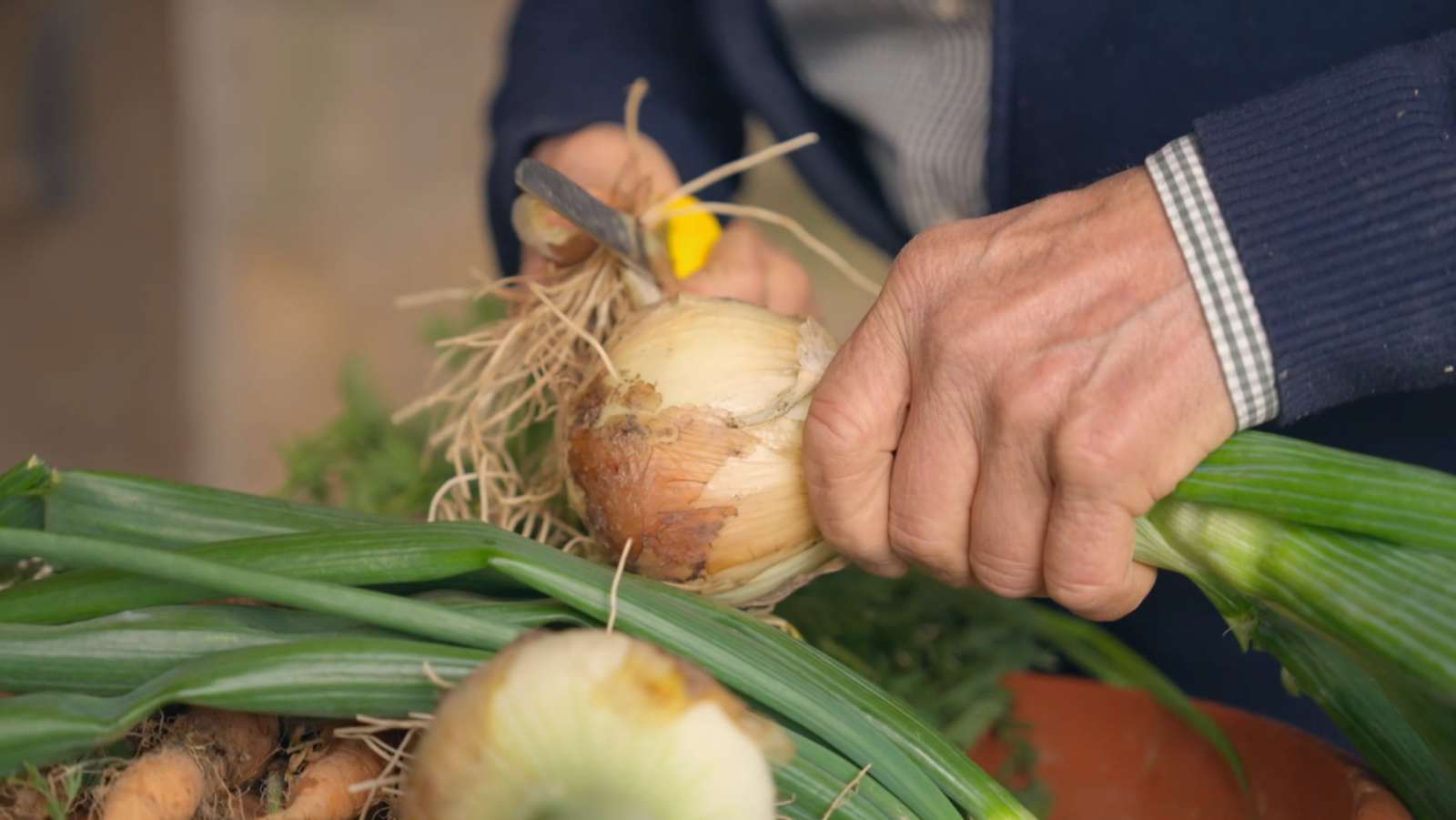 Quina és la millor ceba per fer sopa de ceba?