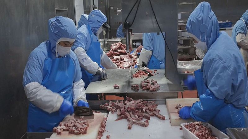 El sector porcí representa el 19% del PIB agroalimentari català