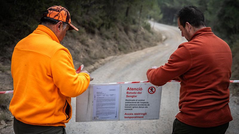 Dos caçadors pengen uns cartells que informen que s'està duent a terme una batuda del senglar amb l'objectiu de contenir la pesta porcina africana