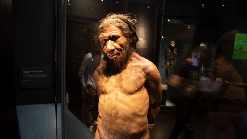 Los primeros neandertales ya eran capaces de crear fuego hace 400.000 años, según un estudio británico