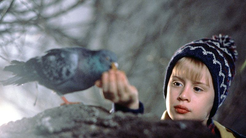 Macaulay Culkin, en el papel de Kevin McCallister, interactúa con una paloma en un entorno urbano. El niño lleva un gorro de invierno con diseños geométricos mientras alimenta al ave.