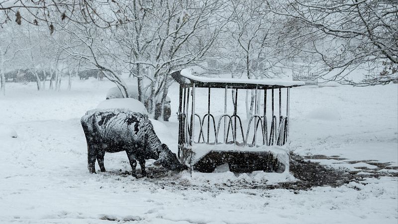España bajo el azote de la borrasca Ingrid
