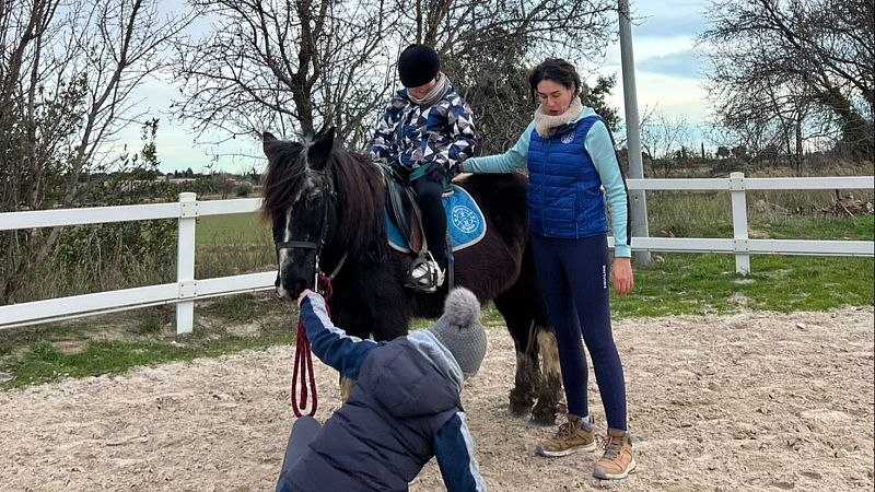 Clase de Terapia Asistida con Caballos en Zaragoza