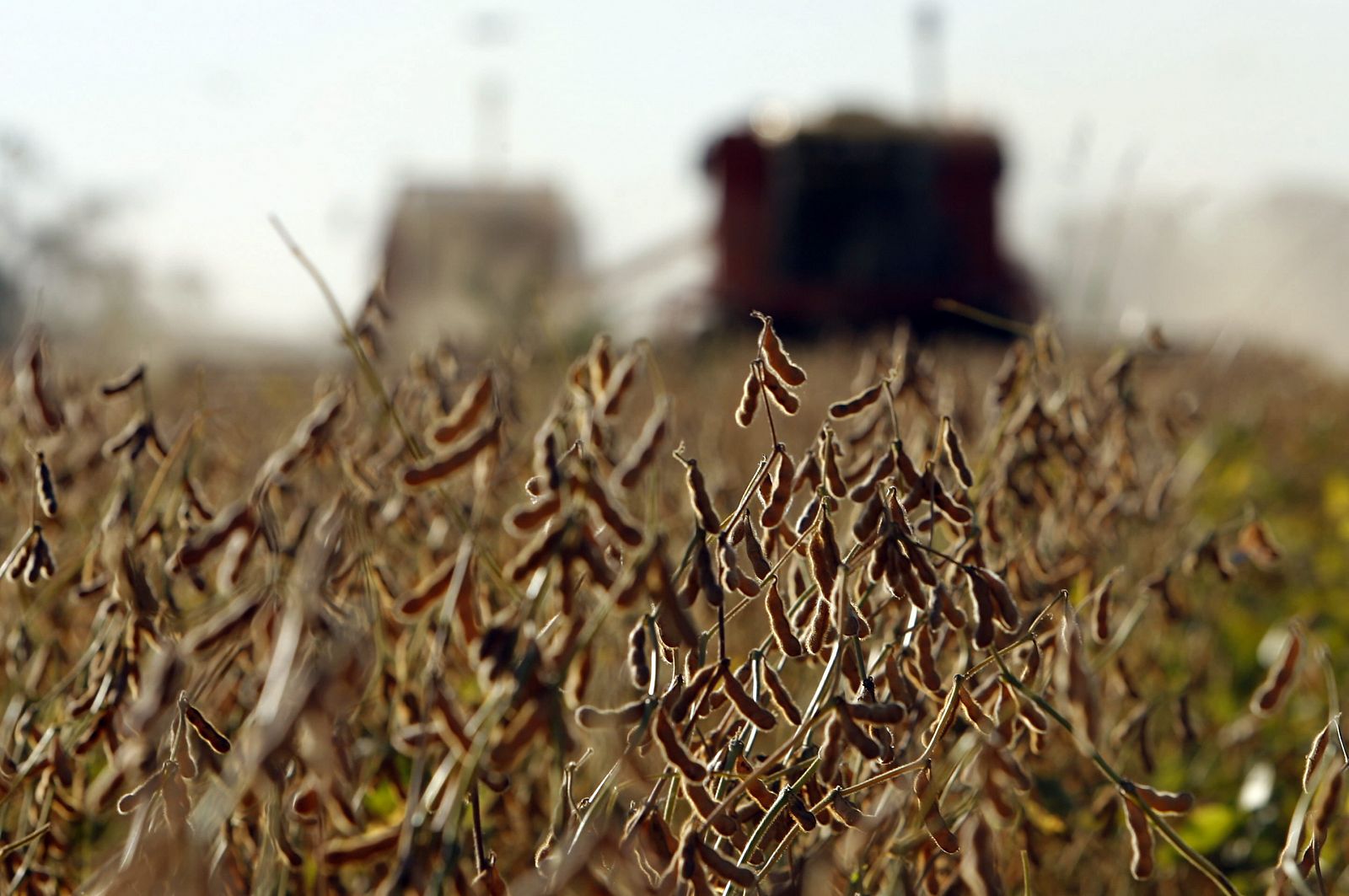 GOBIERNO DE CRISTINA FERNÁNDEZ LOGRARÍA LA POSTERGACIÓN DE LAS PROTESTAS DEL SECTOR AGROPECUARIO