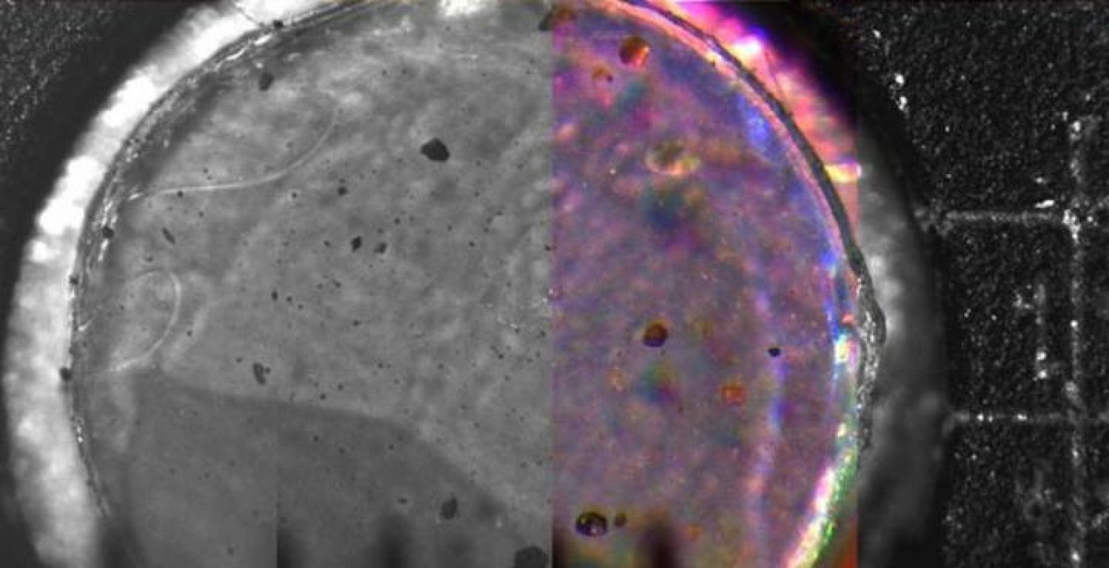 Imagen microscópica del sustrato de silicona donde se ha adherido el polvo marciano