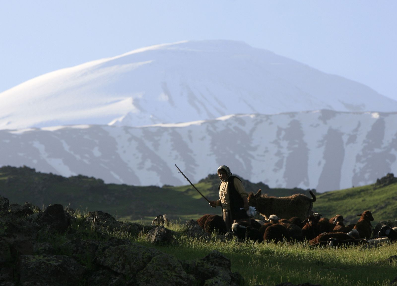 Al monte Ararat