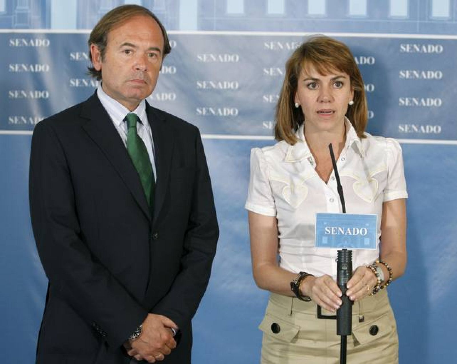 El portavoz del partido en la Cámara Alta, Pío García Escudero, tras el pleno extraordinario  para ratificar el Tratado de Lisboa