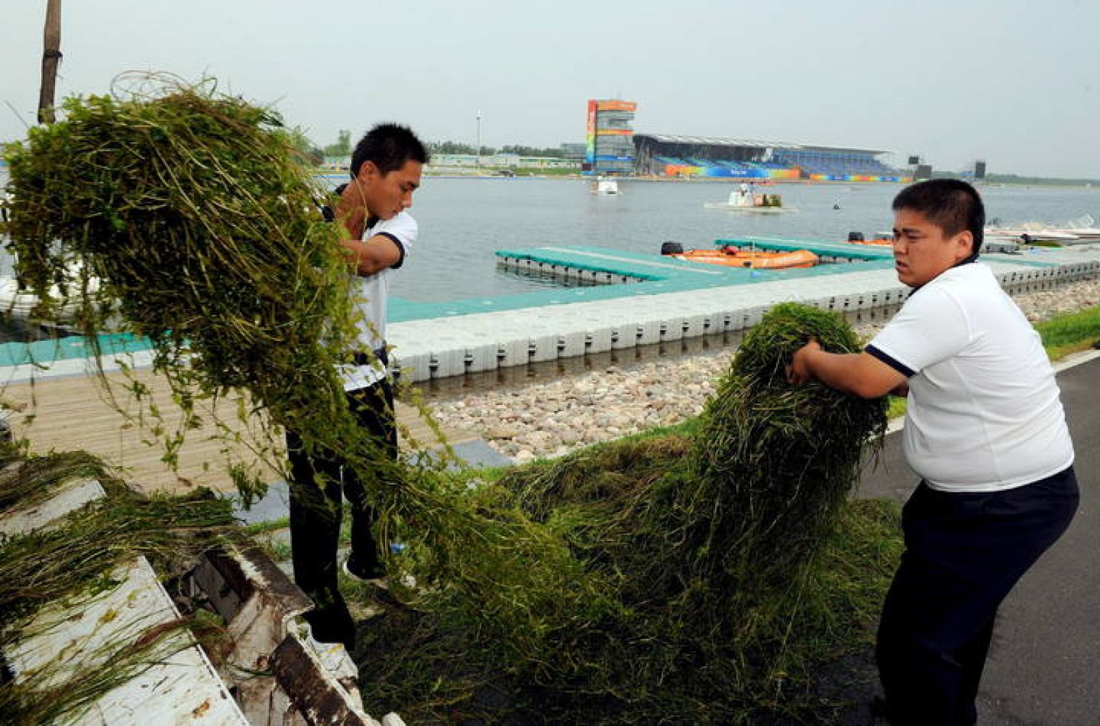 Lucha contra las algas