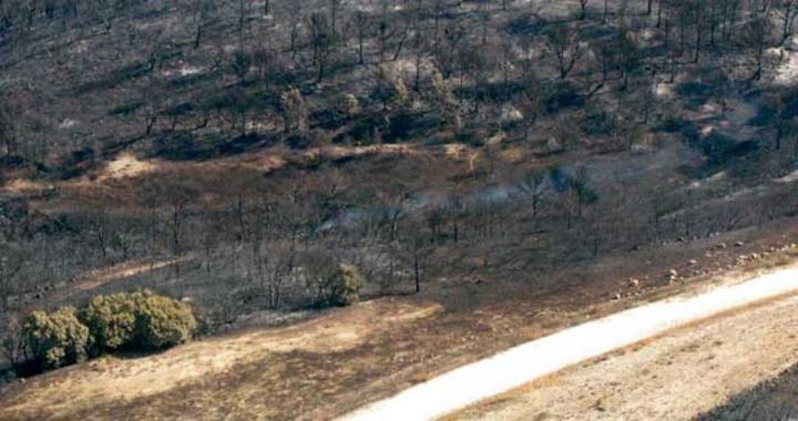 Vista aérea de la zona asolada por el incendio forestal que ha arrasado unas 2.200 hectáreas de pinar y monte bajo en el término municipal de Zuera,